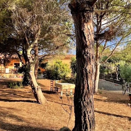 Il Lentischio Del Sinis *