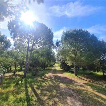 Il Lentischio Del Sinis Putzu Idu