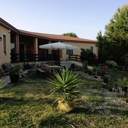 Il Lentischio Del Sinis *