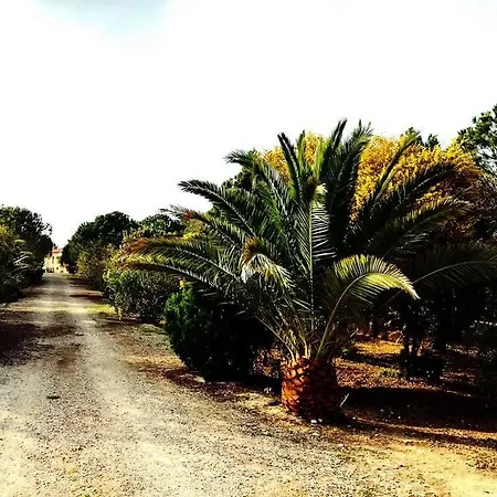 Alloggio per agriturismo Il Lentischio Del Sinis *