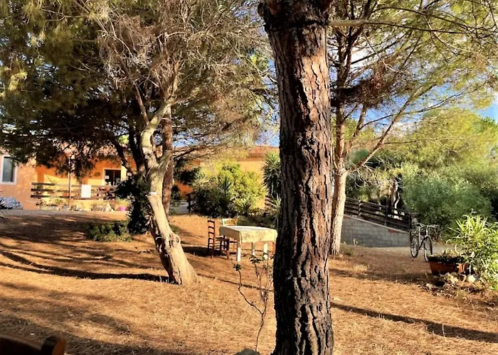 Il Lentischio Del Sinis *