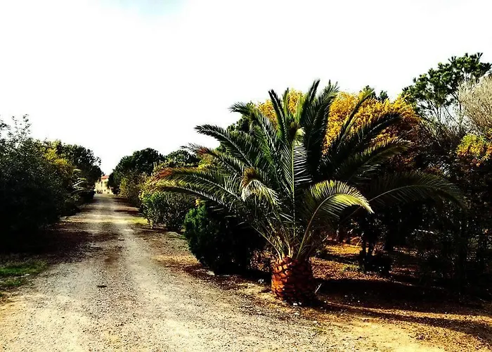 Agroturismo Il Lentischio Del Sinis *